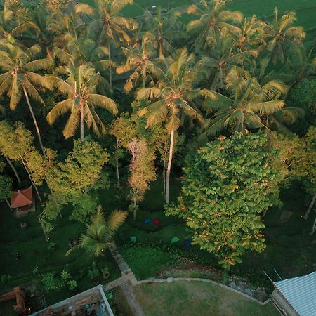 Bali Made Escape Hotel Payangan Eksteriør billede