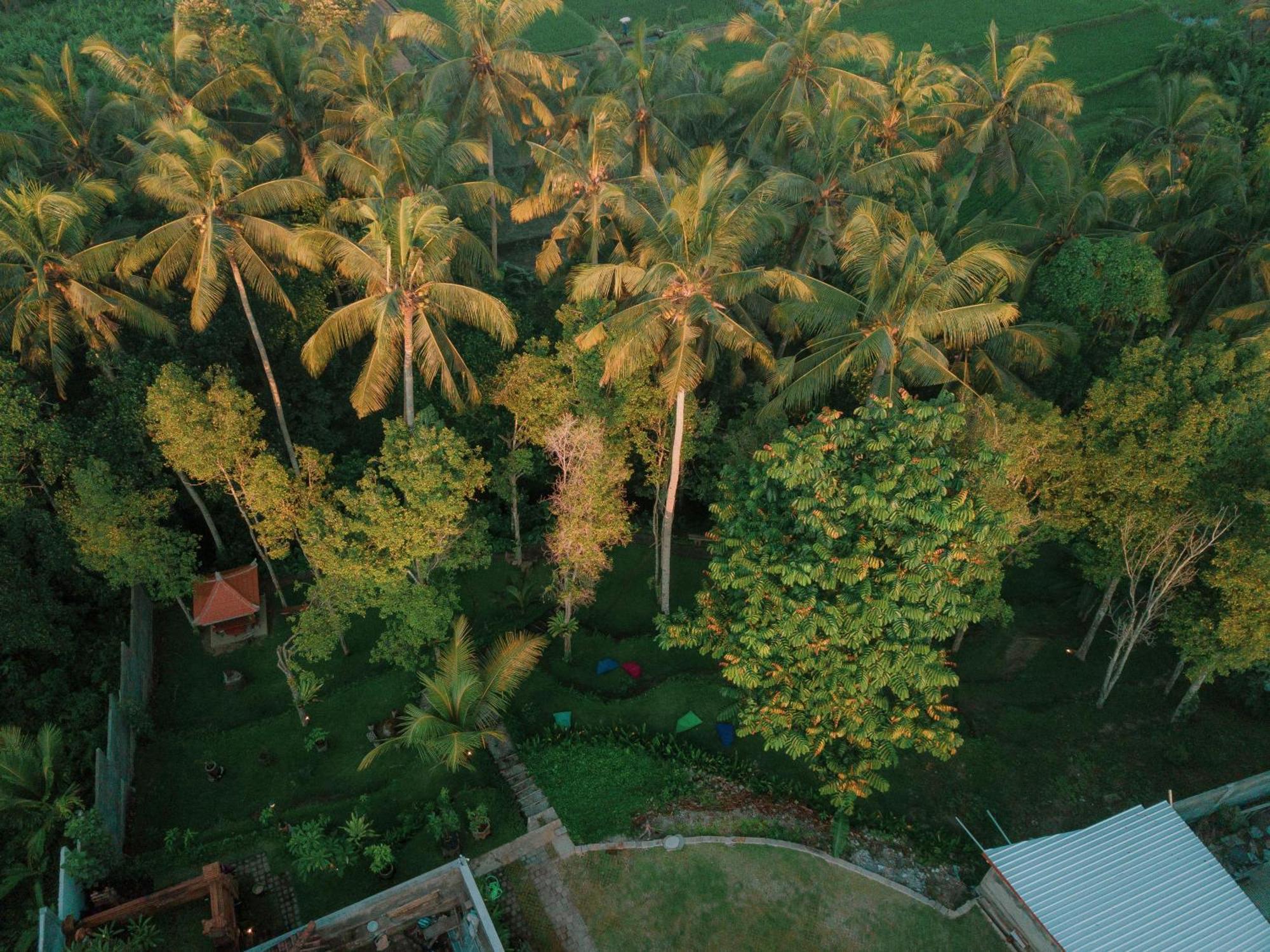 Bali Made Escape Hotel Payangan Eksteriør billede